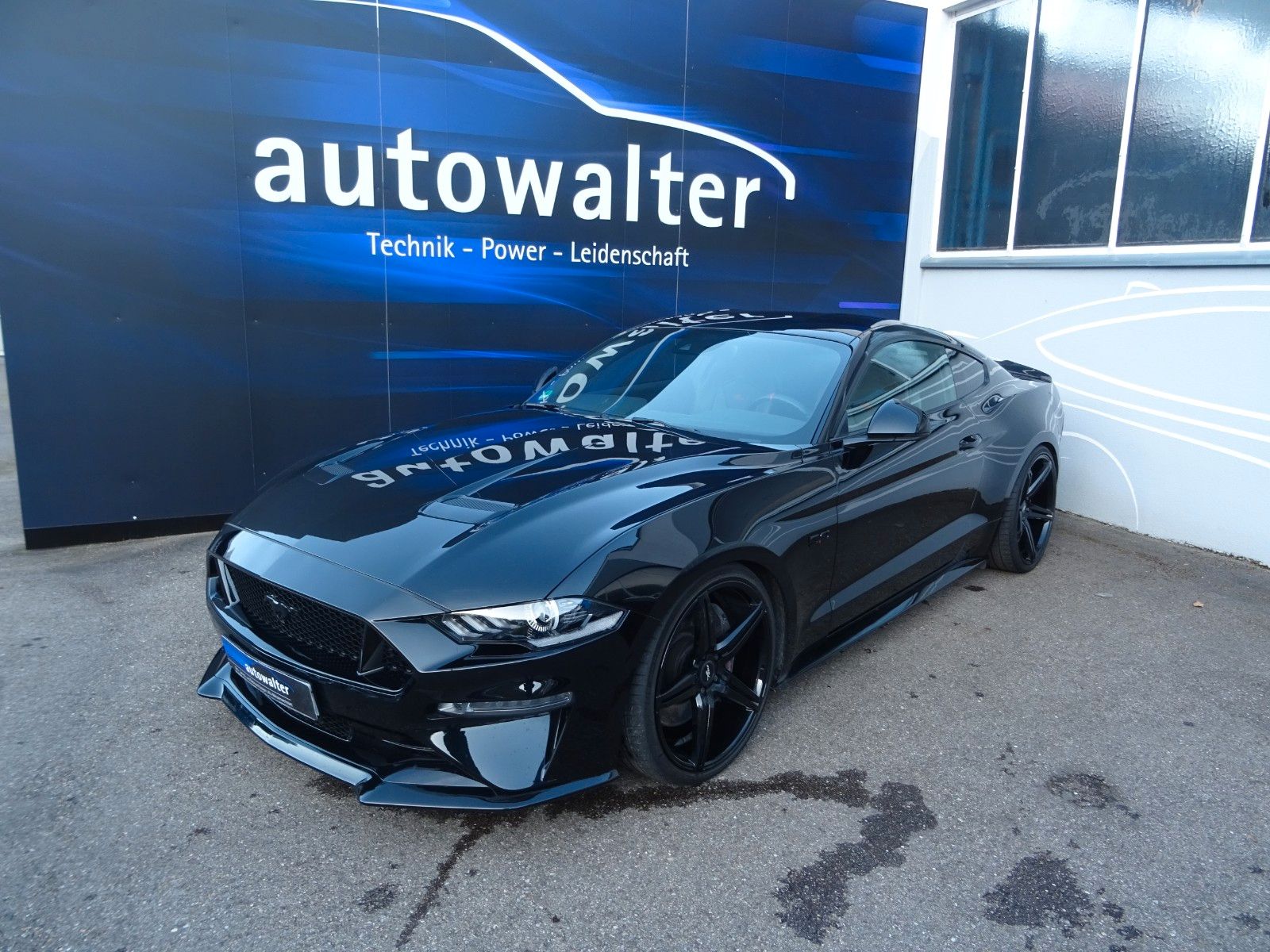 Fahrzeugabbildung Ford Mustang GT V8 WOLF