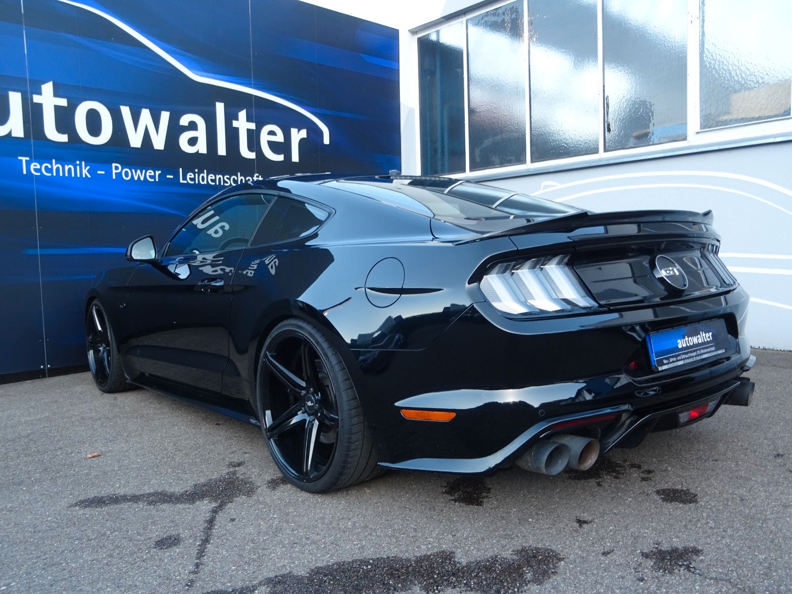 Fahrzeugabbildung Ford Mustang GT V8 WOLF