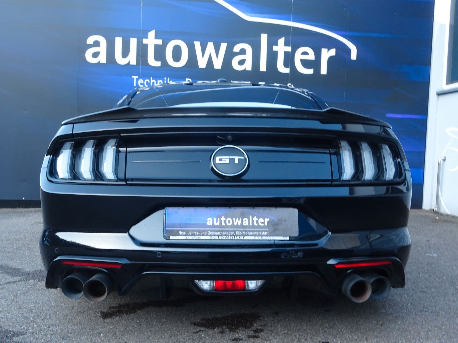 Fahrzeugabbildung Ford Mustang GT V8 WOLF