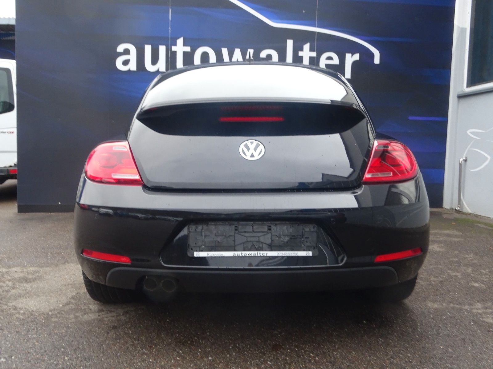 Fahrzeugabbildung Volkswagen Beetle Lim. Remix Steuerkette Neu